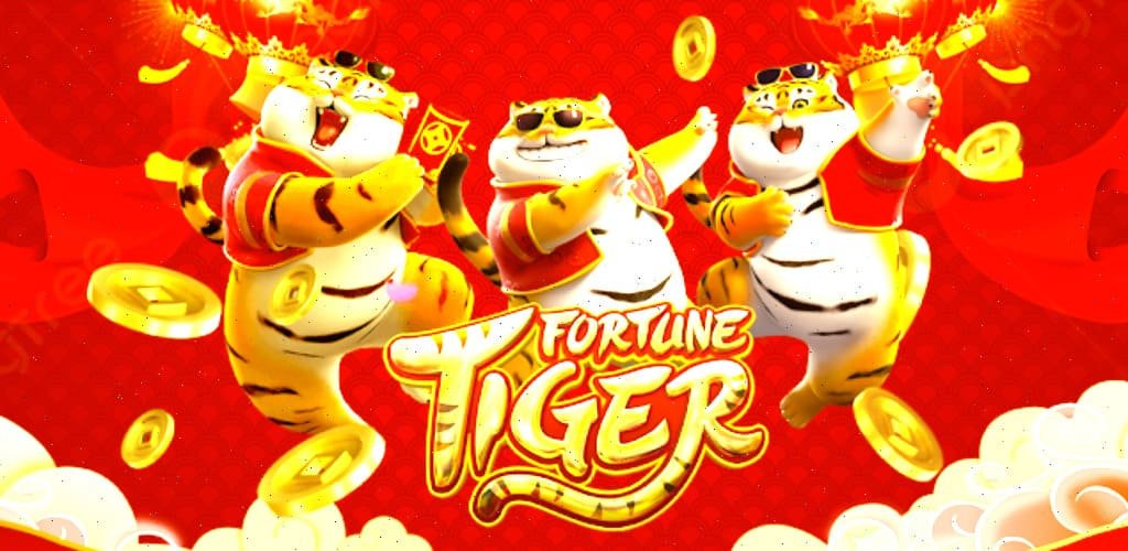 Live casino với dealer thật phát trực tiếp trên kq net